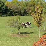 La Ferme Du Gorgin * Innimond