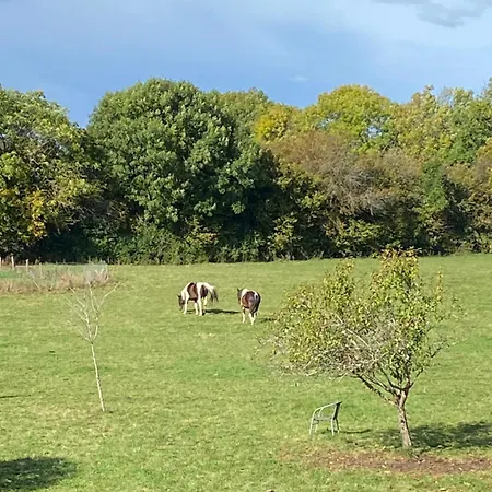 La Ferme Du Gorgin Oda ve Kahvaltı