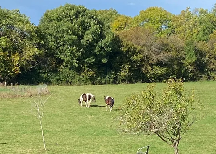 La Ferme Du Gorgin Nocleg ze śniadaniem