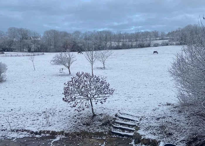 Nocleg ze śniadaniem La Ferme Du Gorgin
