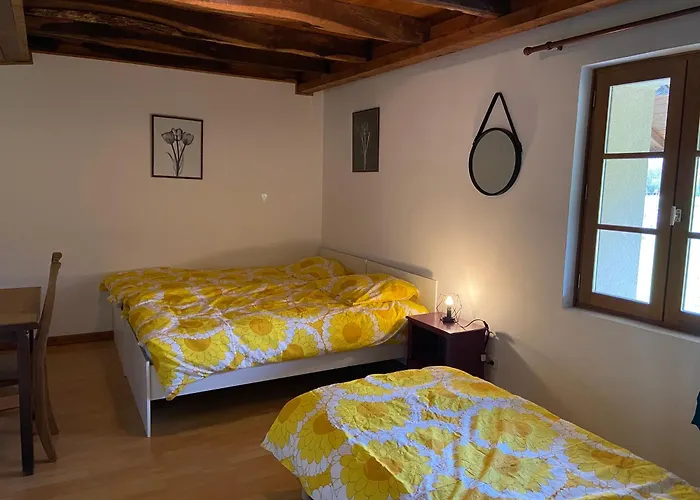 La Ferme Du Gorgin Bed and breakfast *